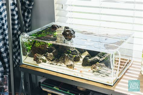 Rimless Aquarium Tank Rin Aquarium Fish