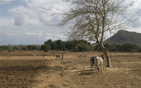 Extreme weather patterns, natural hazards and food and water shortages are threatening the lives of people living in poverty and, the poorer people are, the harder. Climate Funds for World's Poorest Slow to Materialize ...