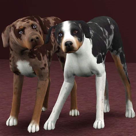 Mod The Sims Catahoula Leopard Dogs