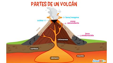 ¿qué Es Un Volcán Árbol Abc
