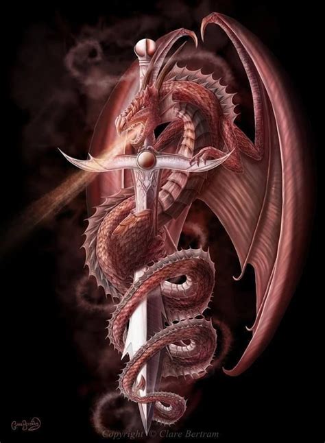 Clare Bertram Dragon Tattoo Designs Dragon Artwork Celtic Dragon