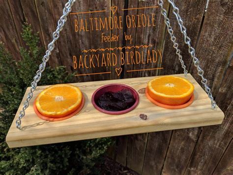 Check spelling or type a new query. Baltimore Orioles Love This New Oriole Feeder - Order Yours Today! | Oriole bird feeders, Wood ...