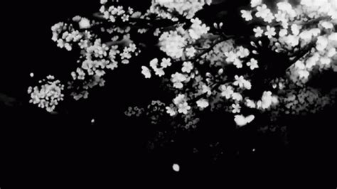 Black And White Aesthetic Gif Black And White Aesthetic Gif