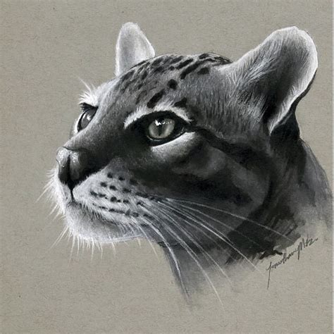 We did not find results for: Design Stack: A Blog about Art, Design and Architecture: Realistic Pencil Animal Drawings
