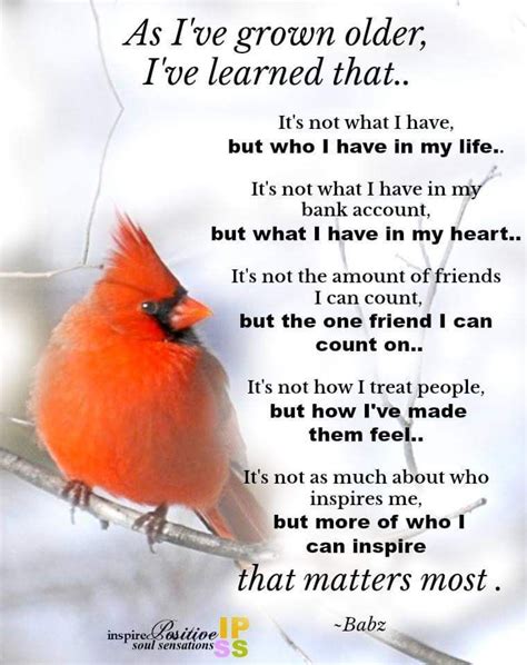 Cardinal Bird Quote Winter Bird Quotes Page 1 Line 17qq Com The