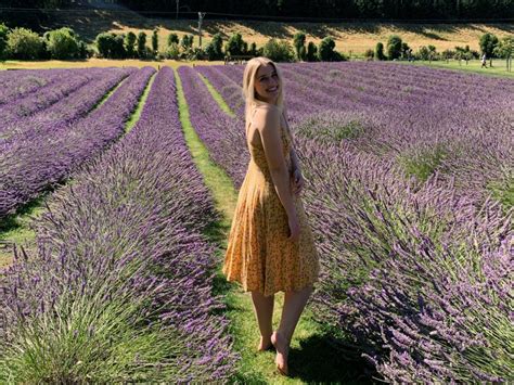 Visiting Wanaka Lavender Farm Things To Know Before You Visit
