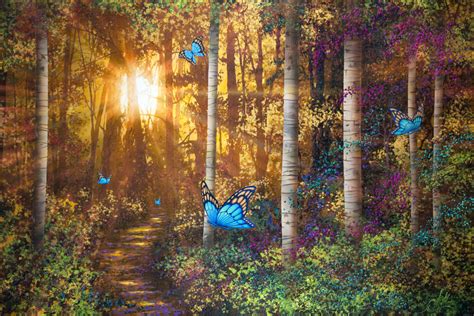Forest Trail With Butterflies Wall Mural And Photo Wallpaper Photowall