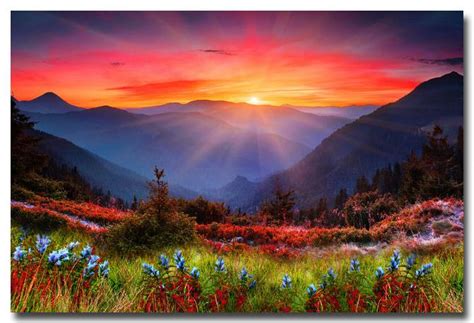 Nicoleshenting Sunset Mountains Flowers Nature Art Silk