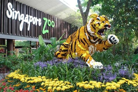 2024 Morning At The Singapore Zoo Tripadvisor