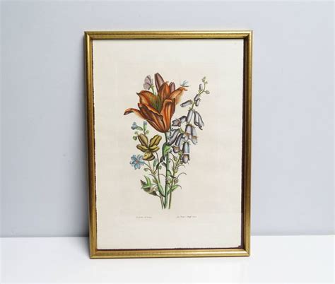 Vintage Botanical Print Wood Gilt Colored Frame Framed Print Etsy