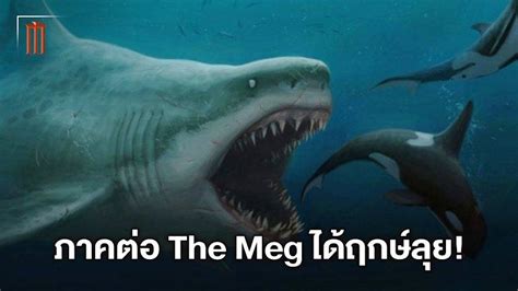 มันกลับมาแล้ว เตรียมออกล่าฉลามยักษ์อีกครั้ง The Meg 2 เริ่มถ่ายทำ