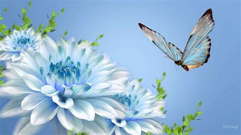 Fresh White Blue Flower Facebook Cover Photos Nature Flowers With