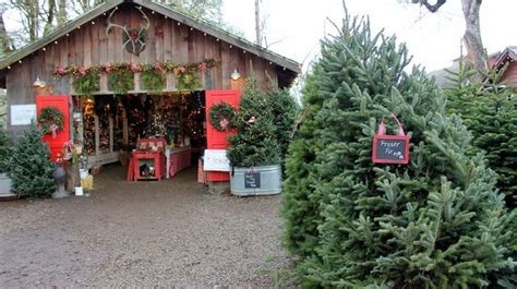 Pin On Christmas Tree Farm