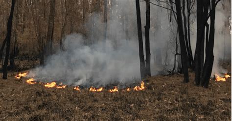 Cultural Burning Is About More Than Just Hazard Reduction