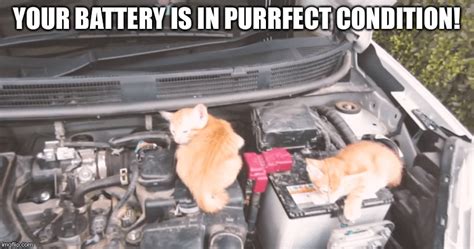Image Tagged In Cat Mechanics Imgflip