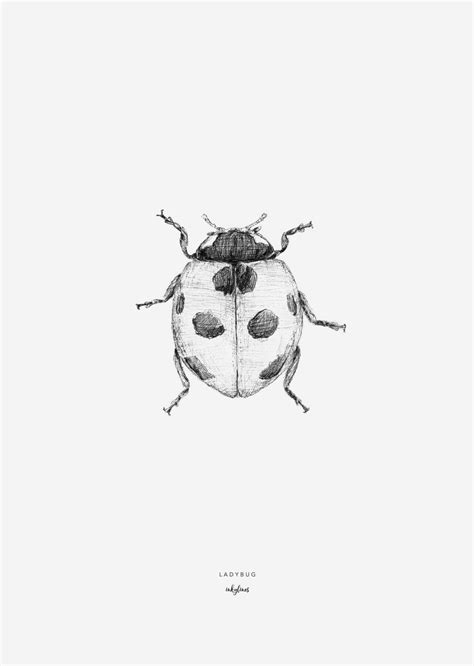 As a result of this, the lady beetle tattoo will represent freedom and fragility. Ladybug | Ladybird tattoo, Lady bug tattoo, Bug tattoo