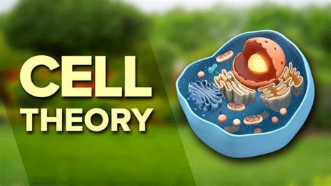 Discovery Of Cells And The Development Of The Cell Theory Clickview