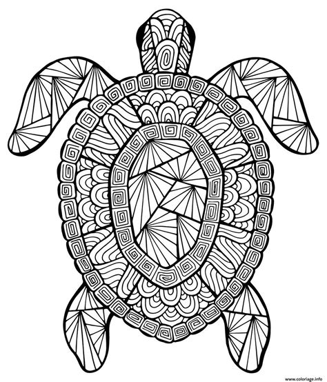 Coloriage Tortue Animaux Adulte