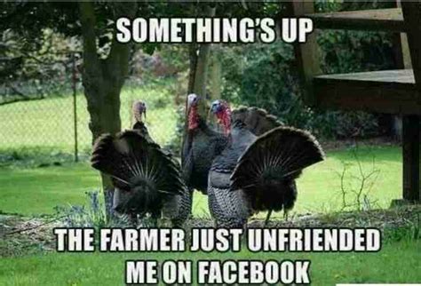 40 Funny Happy Thanksgiving Day Memes 2020 Guide For Moms