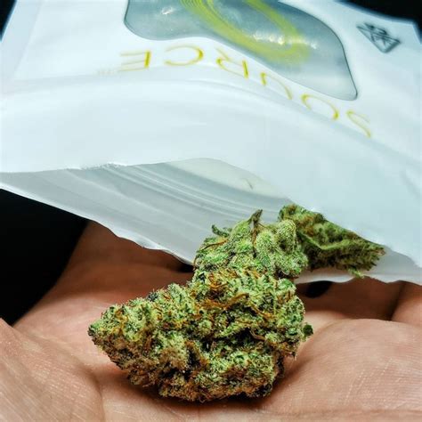 Strain Review: Quest by SOURCE Cannabis - The Highest Critic