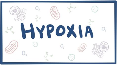 4 Types Of Hypoxia Effects Treatment And Prevention Woms