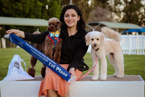 Pet Pamper Shed – Professional Pet Grooming