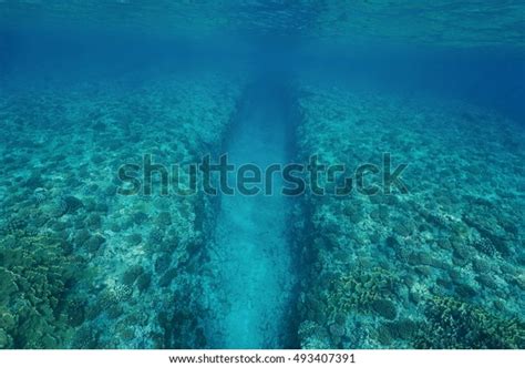 Natural Trench Underwater Sea Into Fore Stock Photo 493407391