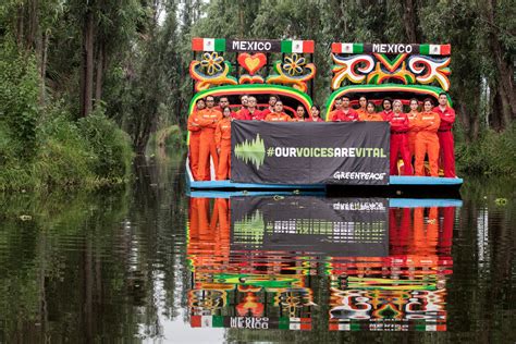 Greenpeace is the leading independent campaigning organisation that uses peaceful direct action to fight greenpeace will never stop fighting for a greener, healthier world for our oceans, forests, food. Infórmate - Greenpeace México