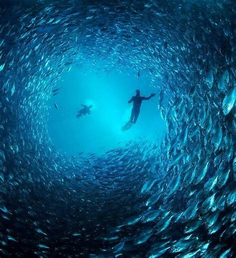 Dive Minnow Caves Key Largo Fl Underwater Photography Underwater
