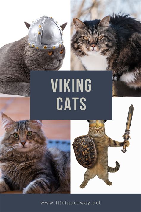 Viking Cats The Preferred Pets Of The Northmen Vikings Cats Forest Cat