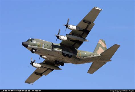 Filelockheed C 130h Hercules Portugal Air Force Jp5981654