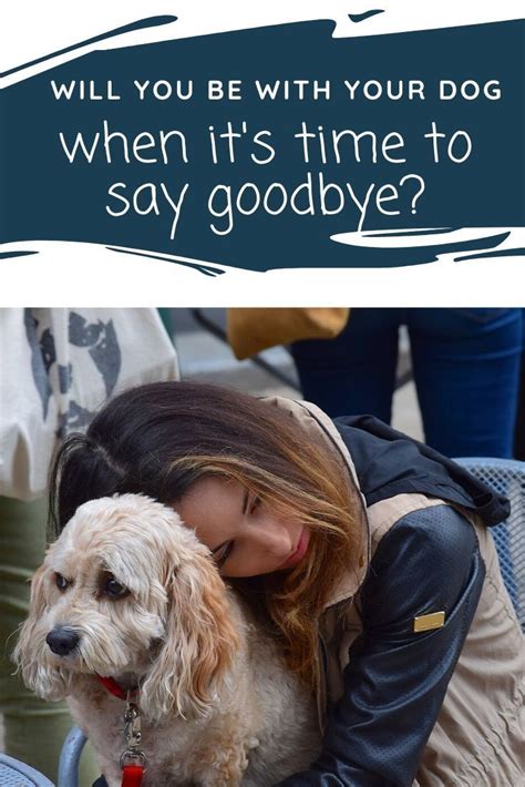 Will You Be With Your Dog When Its Time To Say Goodbye Caring For A