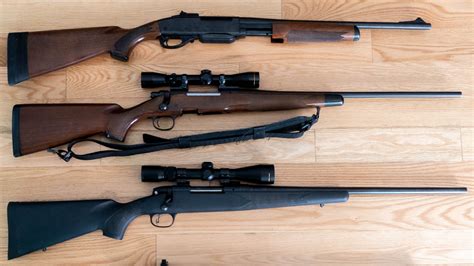 Best All Around Hunting Rifle Caliber For Versatility