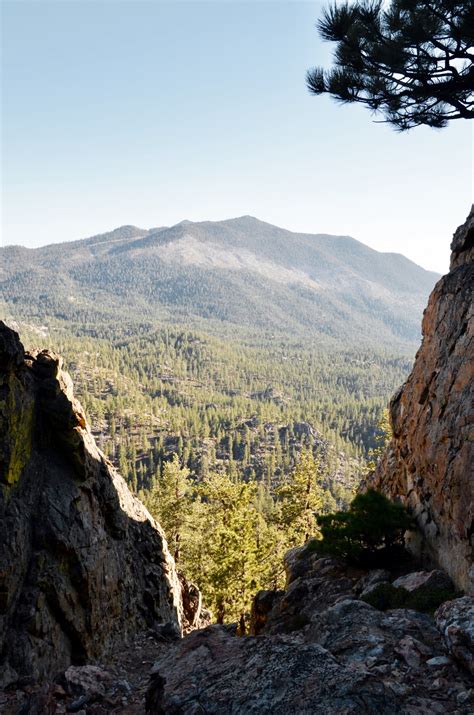 Free Images Tree Rock Wilderness Walking Hiking Adventure