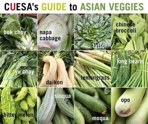 Asian Veggies Asian Vegetables Vegetables Asian