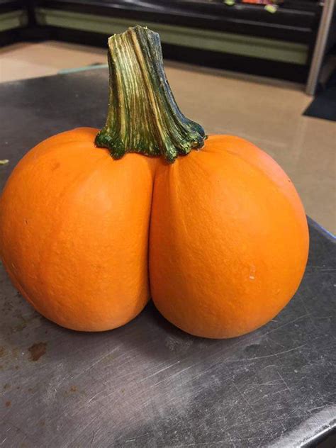 The Worlds Greatest Gallery Of Pumpkins That Look Like Butts
