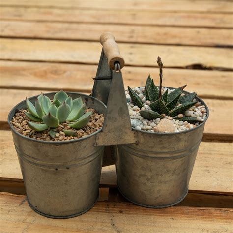 Make Your Own Succulent Center Piece For Your Indoor Or Outdoor Table