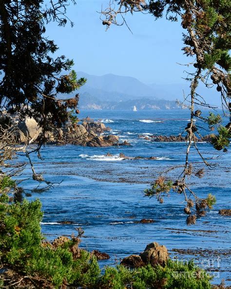 Monterey Coast Photograph By Patrick Witz