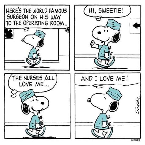 Pin By Barbara Hughes On Snoopy And The Gang 5 ️ Snoopy Funny Snoopy