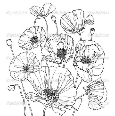 18 Poppy Coloring Pages Pdf 