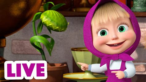 🔴 Live Stream 🎬 Masha And The Bear 🥧🍗 Whats For Dinner 🥧🍗 Youtube