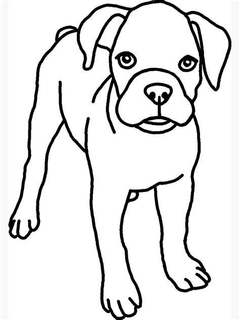 Boxer Dog Puppy Drawing Magnet For Sale By Nijess Redbubble