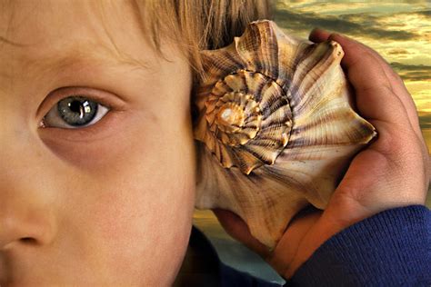 Kids Science Questions Why Do You Hear Ocean Sounds In A Shell