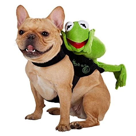 Frog Costumes For Dogs Funtober