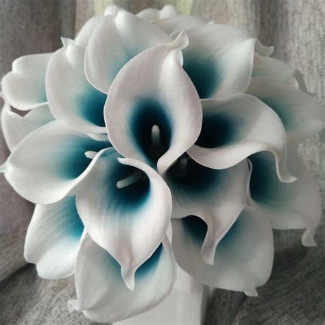 Picasso Calla Lily 10 Stems Mini Calla Lily Bouquet Teal Blue White