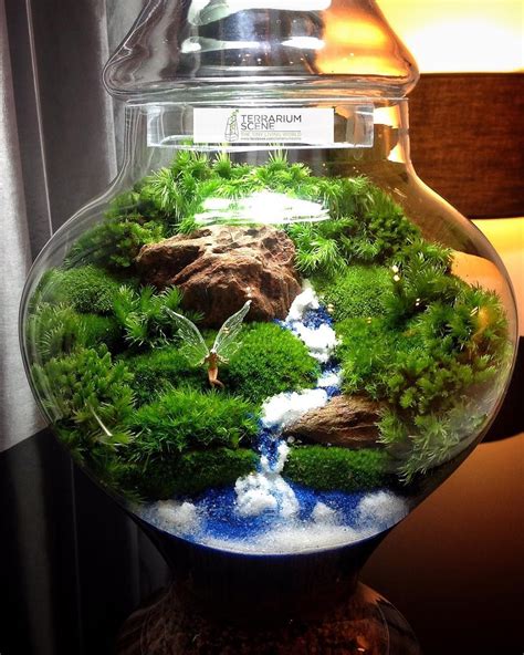 Home » miniature plants » terrarium. 228 Likes, 11 Comments - TerrariumScene (@terrariumscene ...