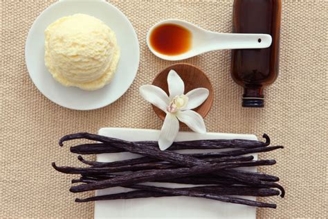 Its About Time You Knew Exactly Where Vanilla Comes From Huffpost Uk