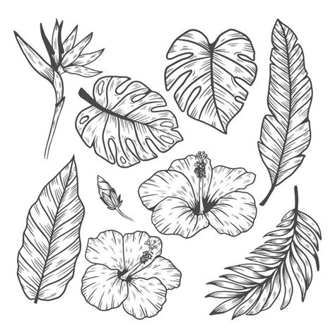 Free Vector Tropical Leaf And Flower Collection Doodle Art Flowers