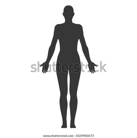 Anatomical Position Anterior View Female Body Stock Vector Royalty