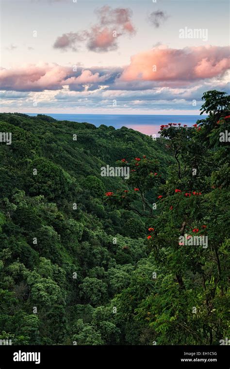 The Road To Hana Offers Spectacular Views Of The Lush Vegetation And